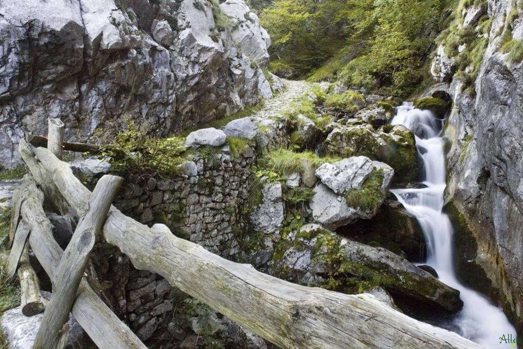 Los Molinos - Atico En Montana De Asturias เฟเลโชซา ภายนอก รูปภาพ