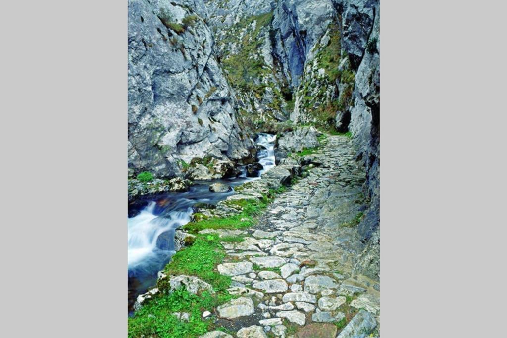 Los Molinos - Atico En Montana De Asturias เฟเลโชซา ภายนอก รูปภาพ